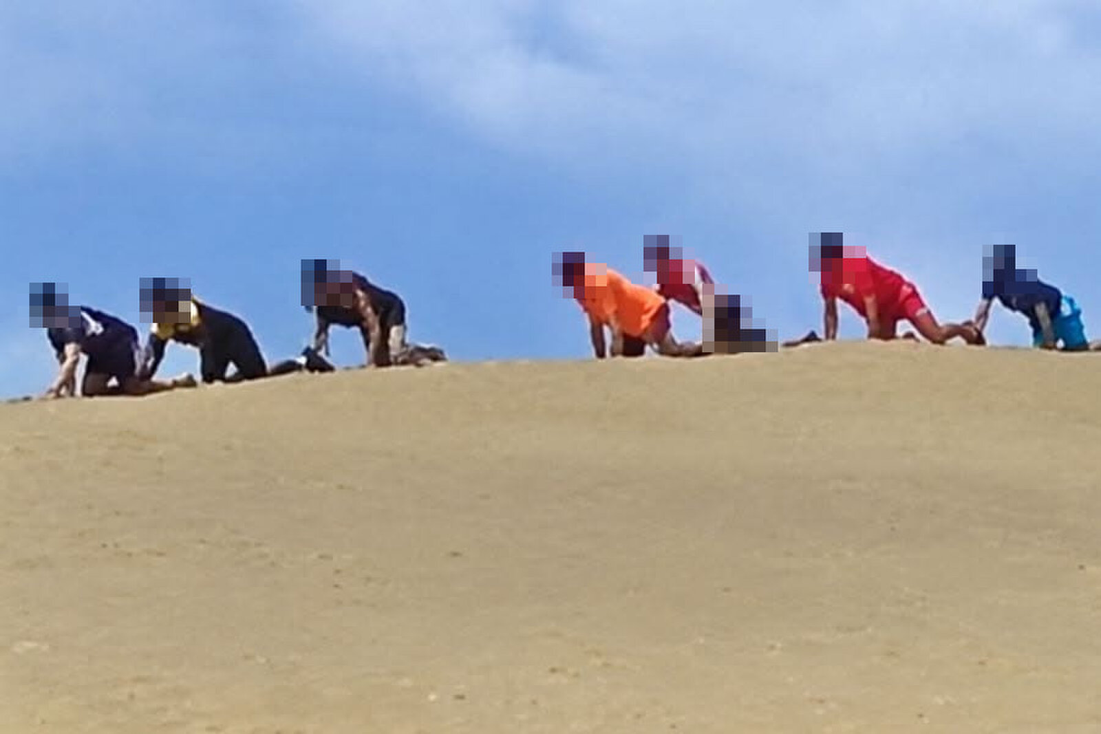 Gran Canaria to Fine a Company over a Puppy Pride Outing in the Maspalomas Dunes and Plans Drone Patrols for November