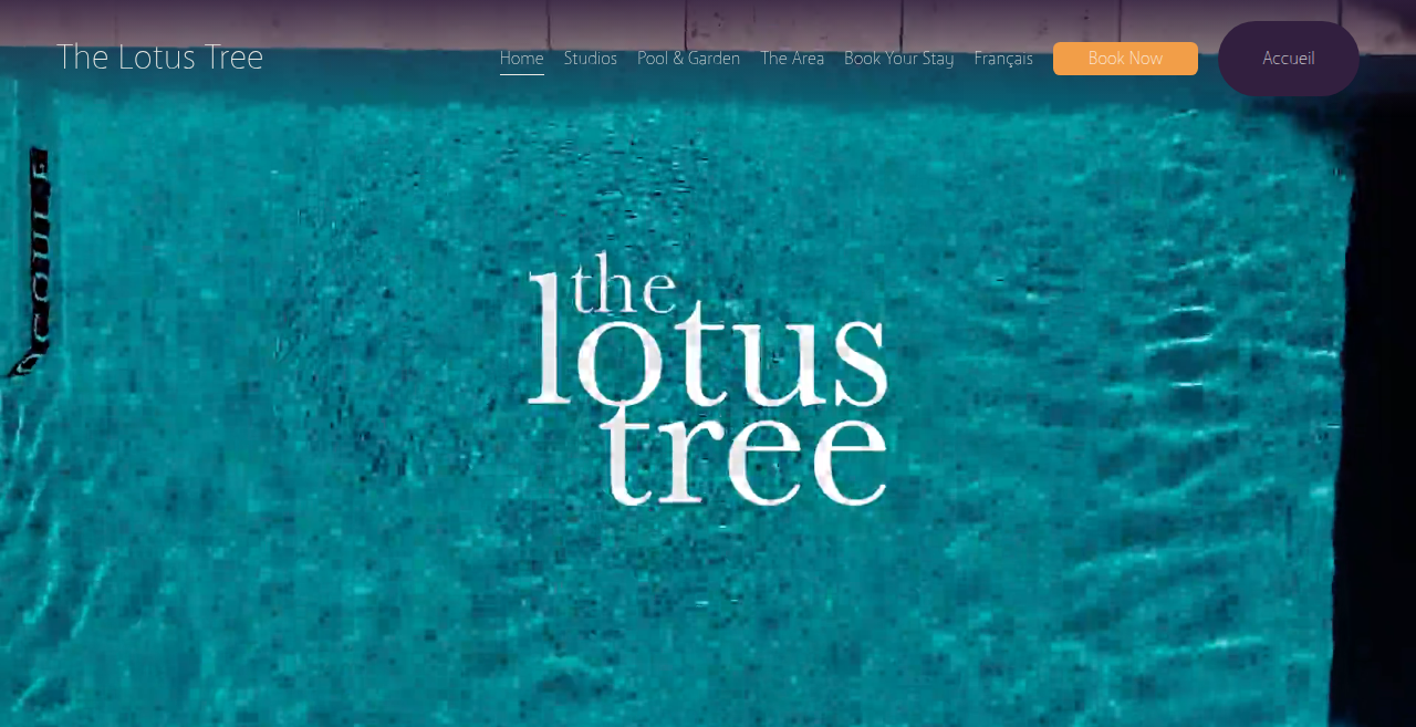 The Lotus Tree