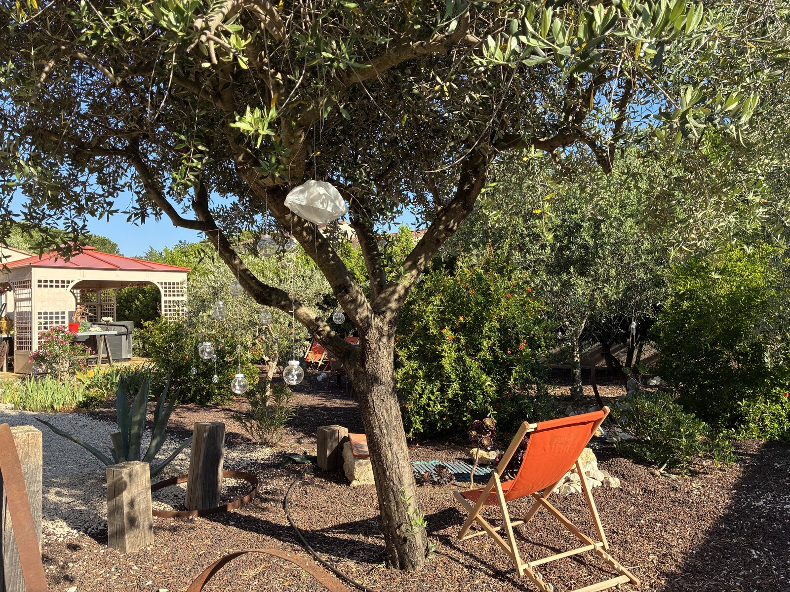 A garden corner under an olive tree strung with hanging glass tealights, next to a deck chair.