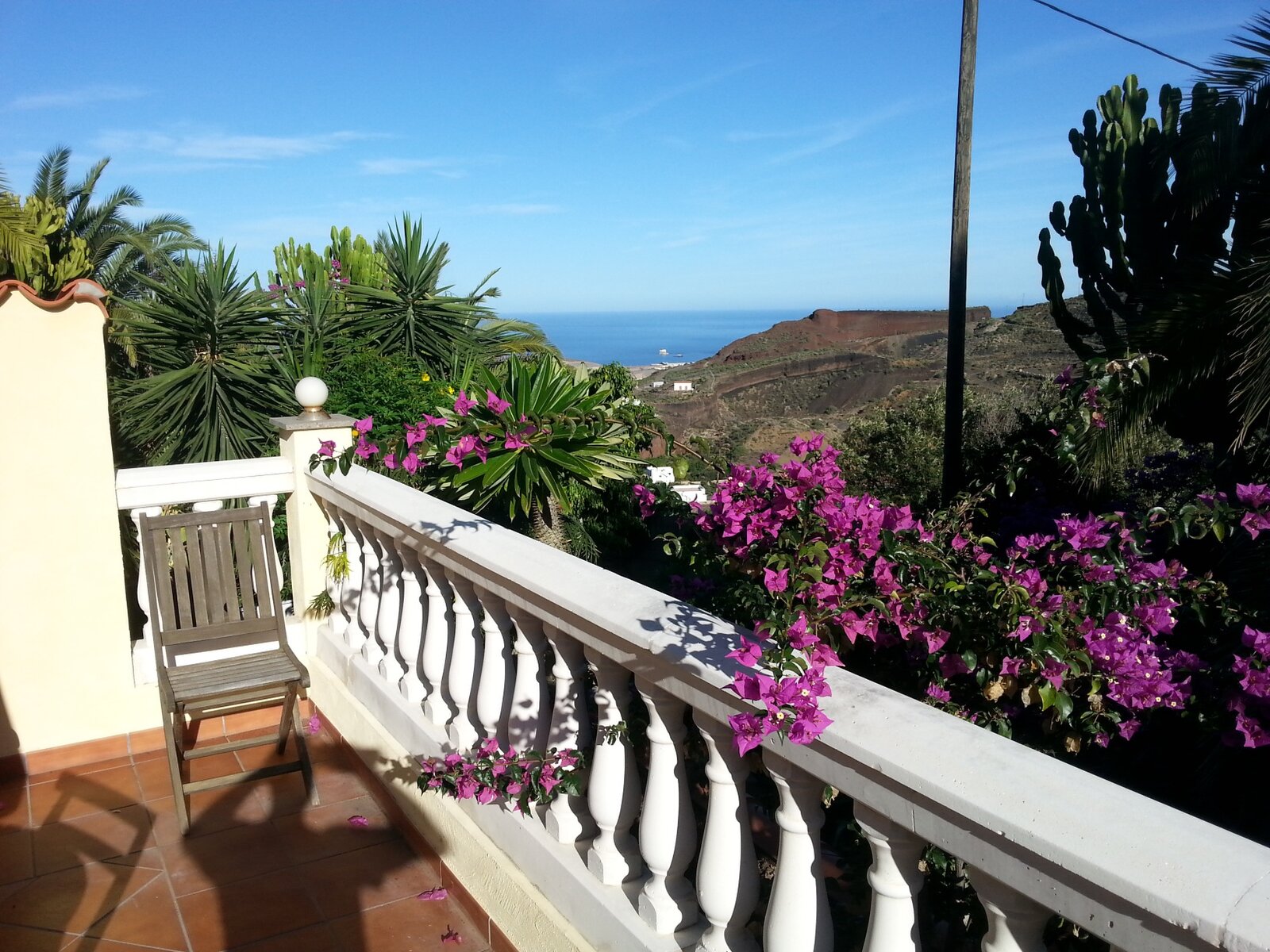 Bougainvillea on the terrace rail, with the valley and the Atlantic behind it