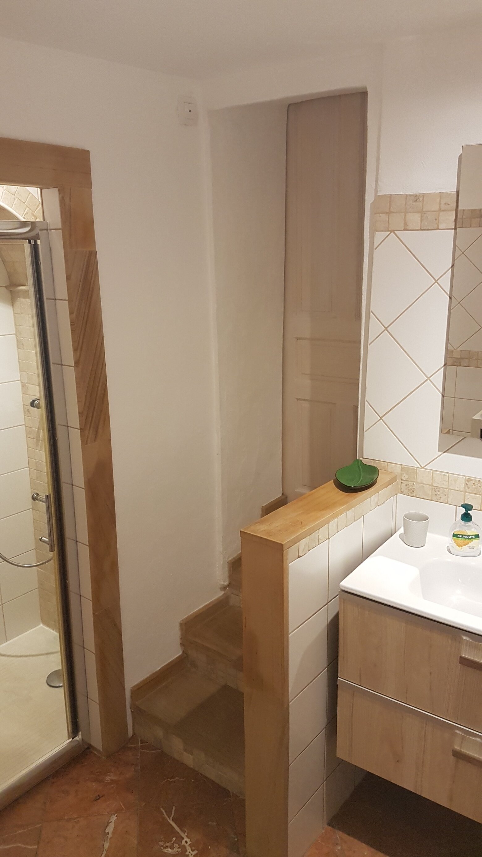 Shower room in the guest wing, with a washbasin and a few stone steps up to the door