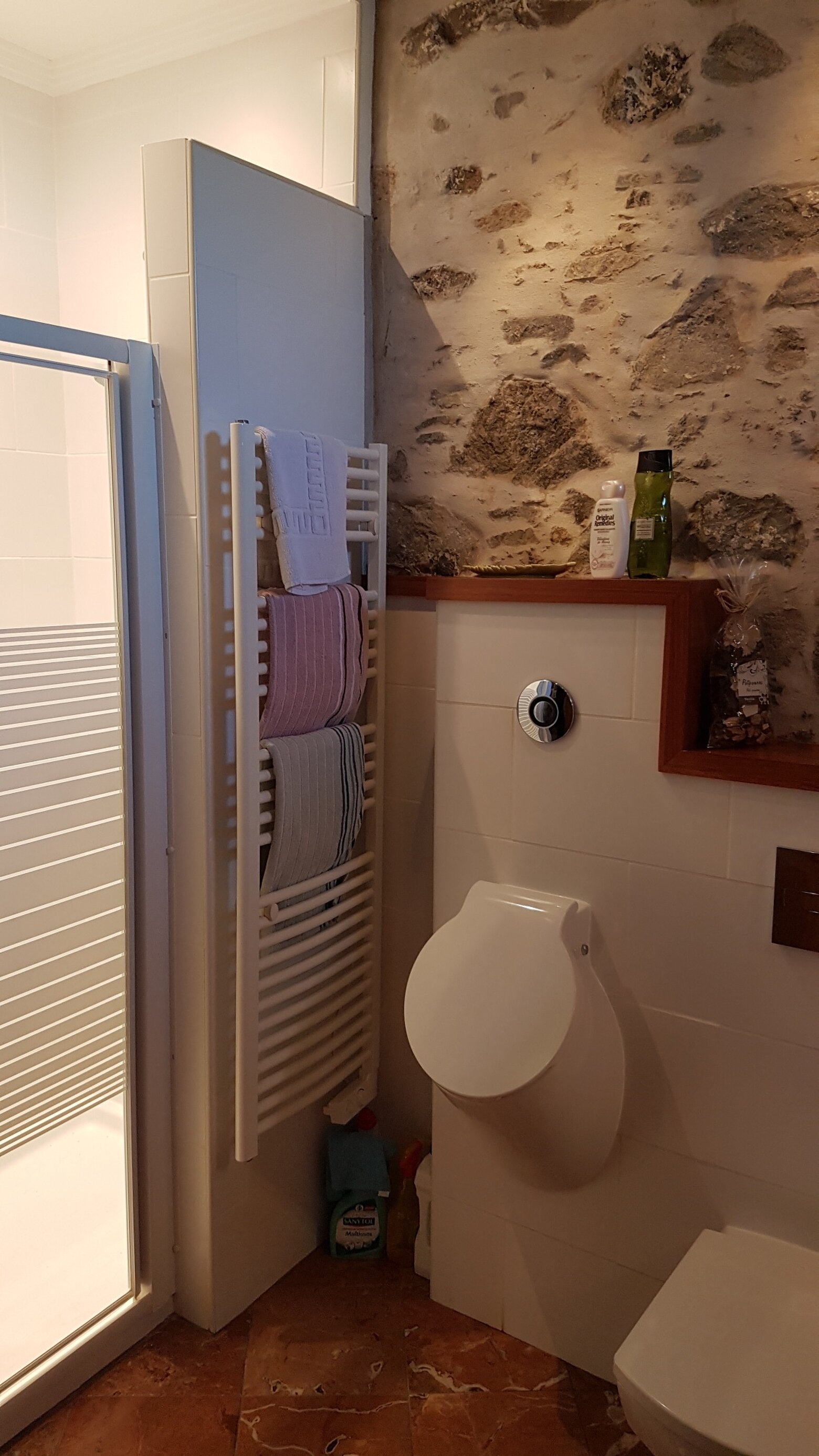 A walk-in shower beside the bare stone wall, with a shelf cut into the masonry
