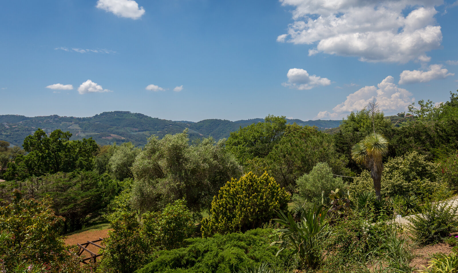 The view over the garden and the surrounding hills.