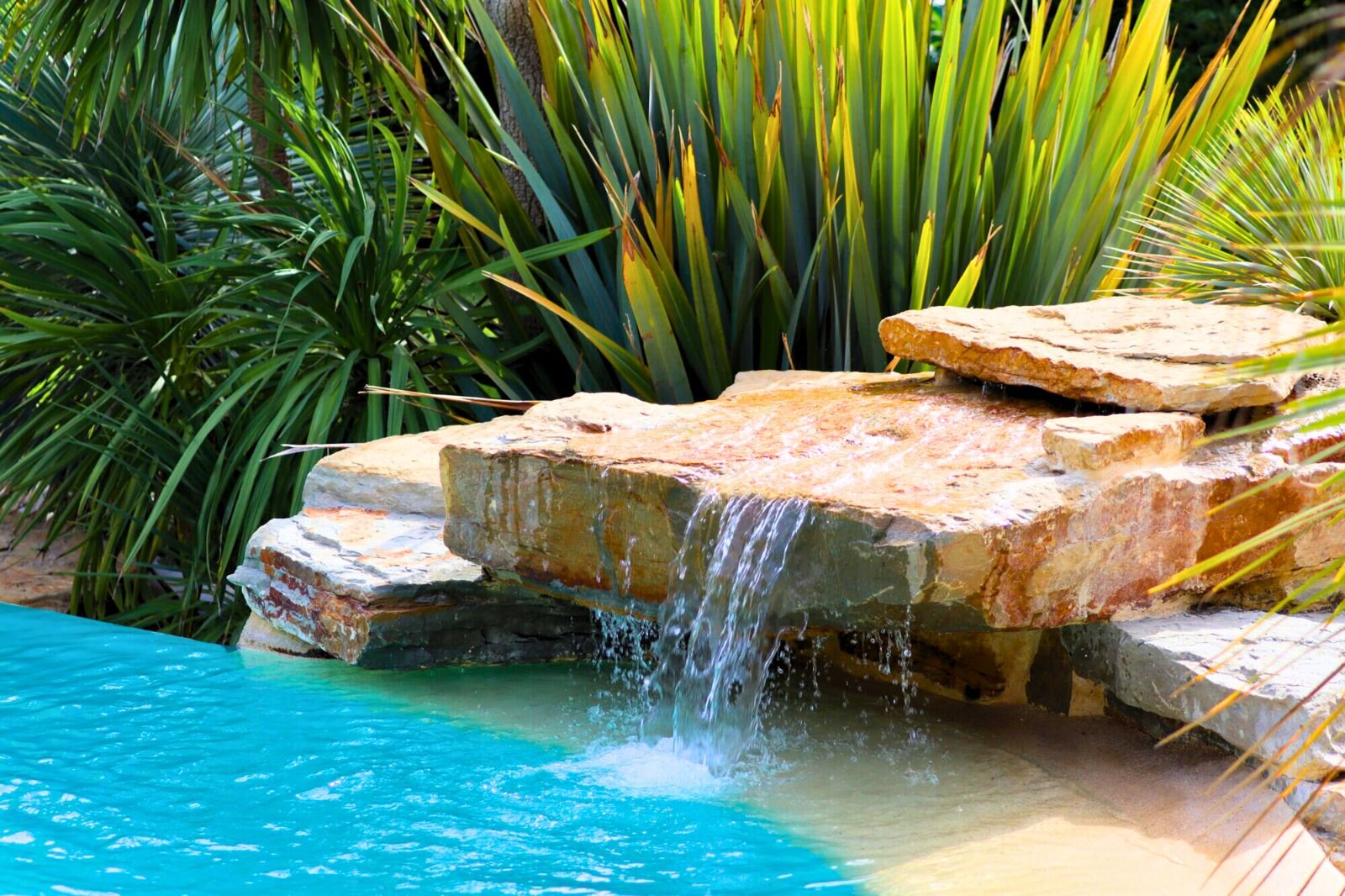 A small waterfall running over flat rocks into the pool, framed by spiky green plants.