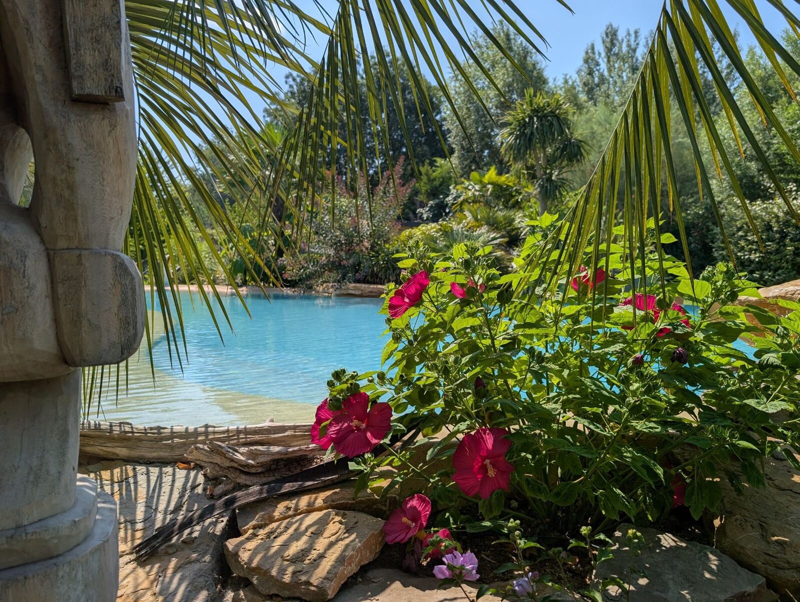 View of the pool through palm fronds, with red hibiscus flowers and a carved wooden statue in front.