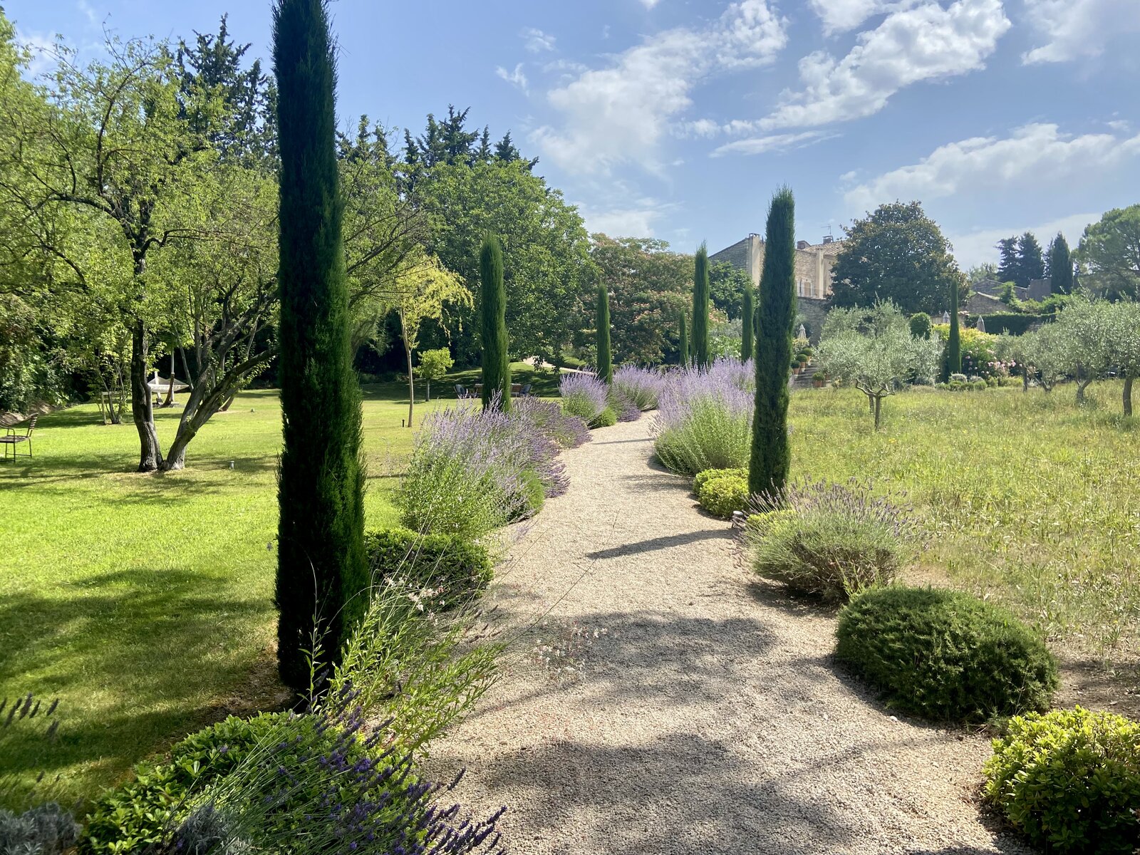 A gravel path lined with cypress trees across the lawn.