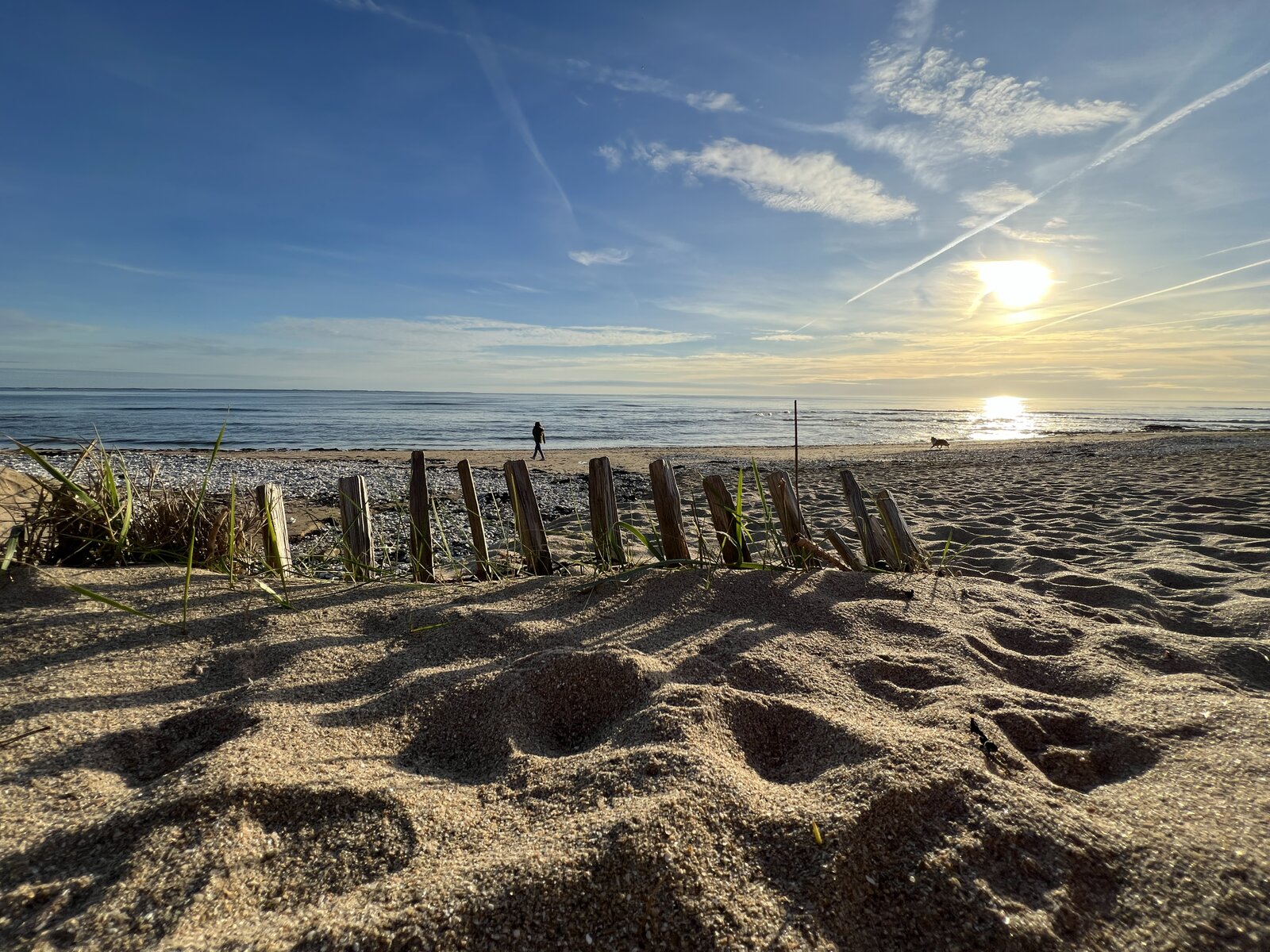 The beach near the guesthouse, with wooden groynes and dune grass at sunset.