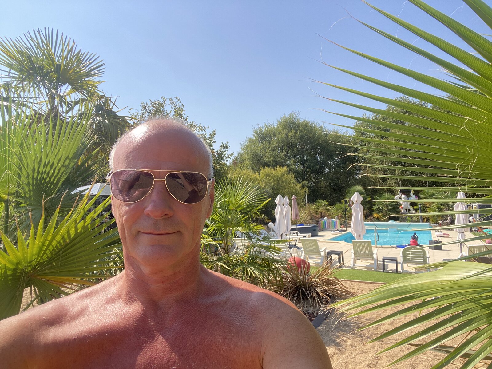 A shirtless man in sunglasses taking a selfie among palm fronds, with the pool and white loungers behind.