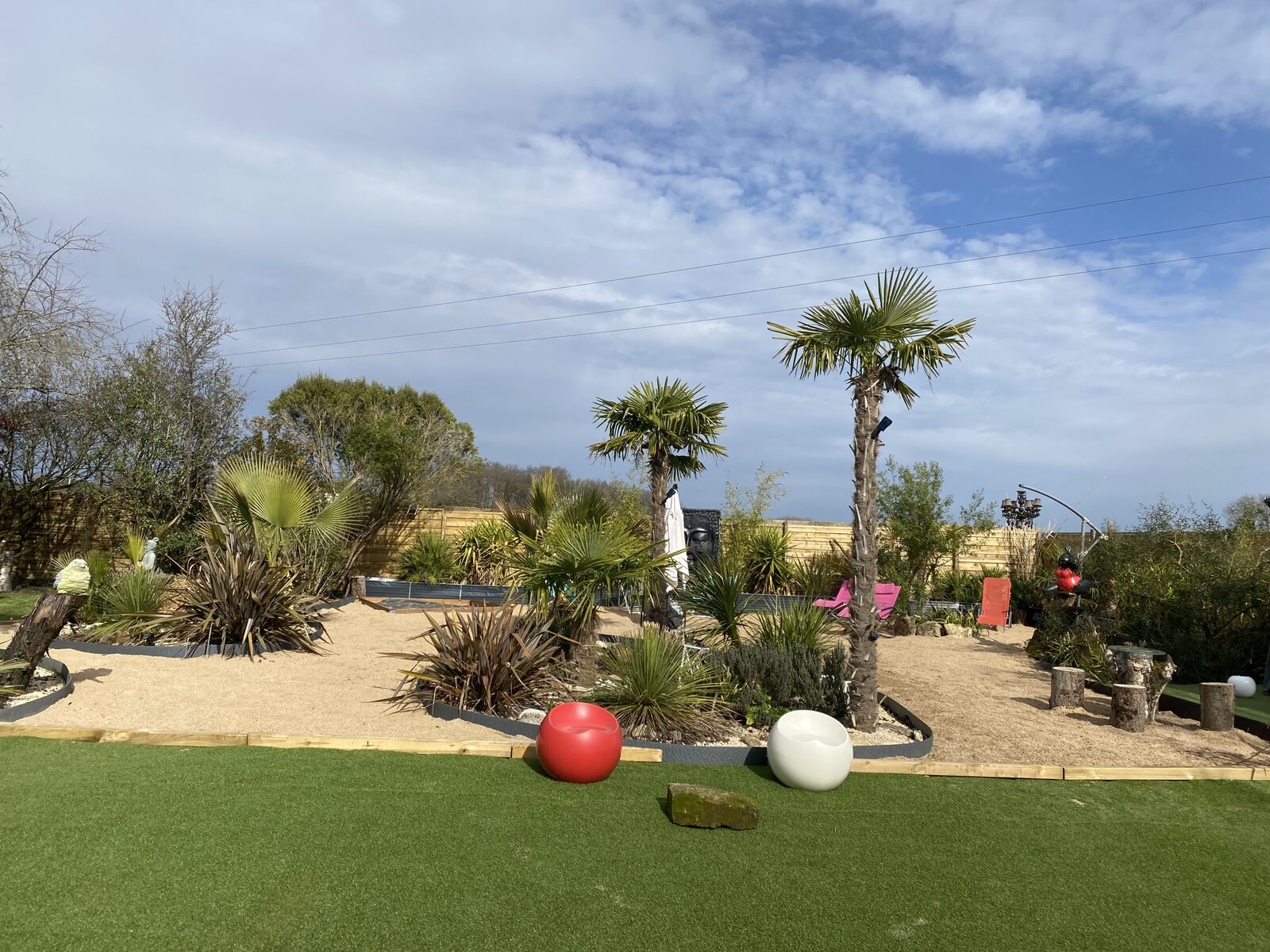 Landscaped garden with palm trees and sand beds.