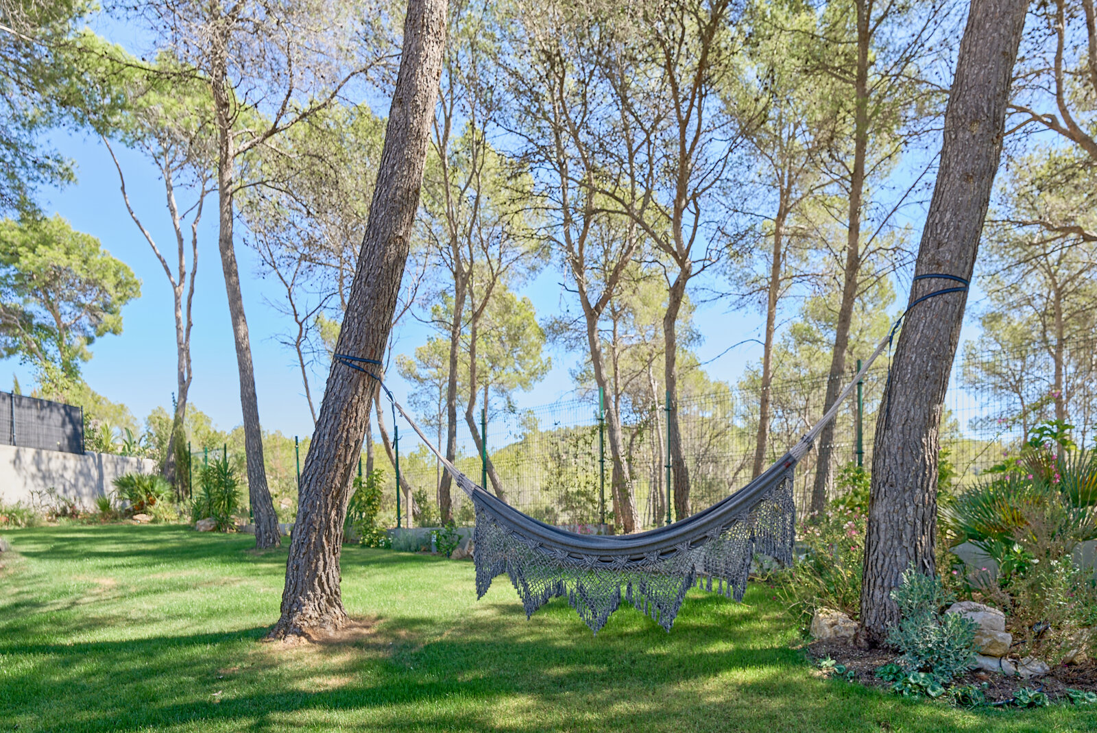 A grey hammock with a fringed edge strung between two pines on a sunny lawn.