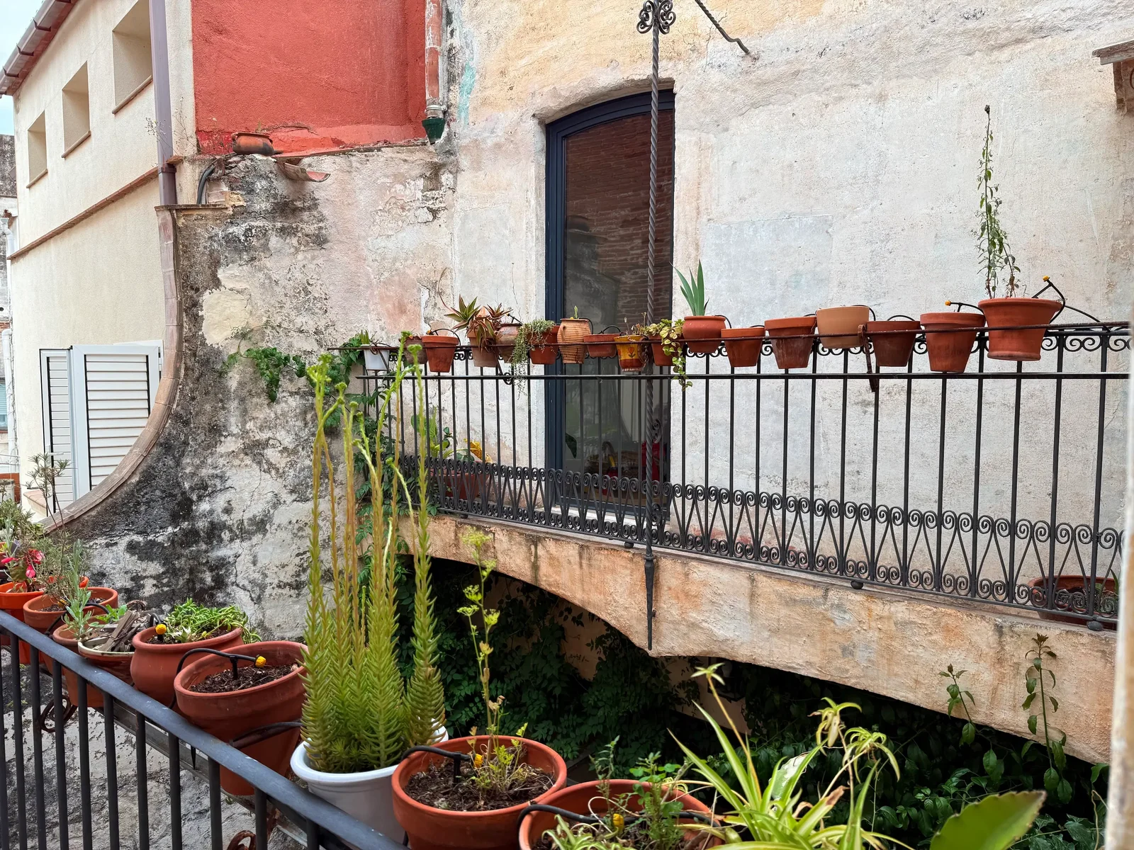 A balcony with a wrought-iron railing lined with terracotta flower pots above a planted courtyard.
