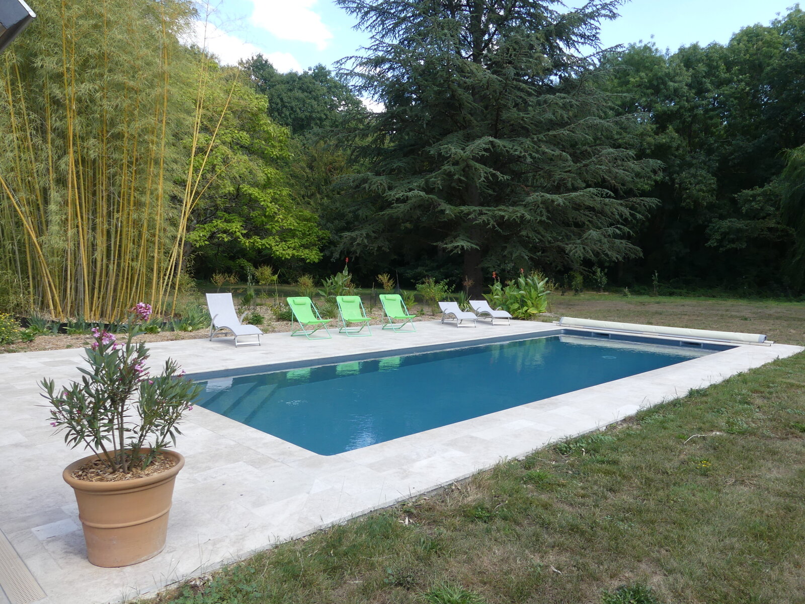 The pool terrace, with loungers looking out over the garden and the woods beyond.
