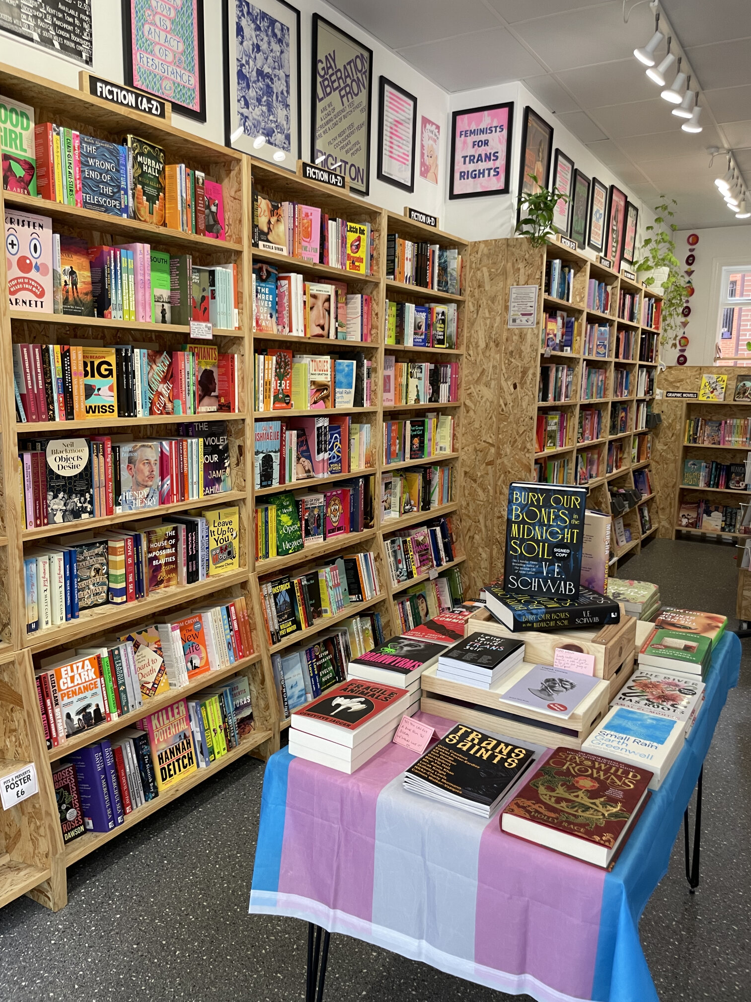 Fiction shelves beneath Gay Liberation Front and Feminists for Trans Rights posters, with a table of new releases dressed in a trans flag tablecloth.