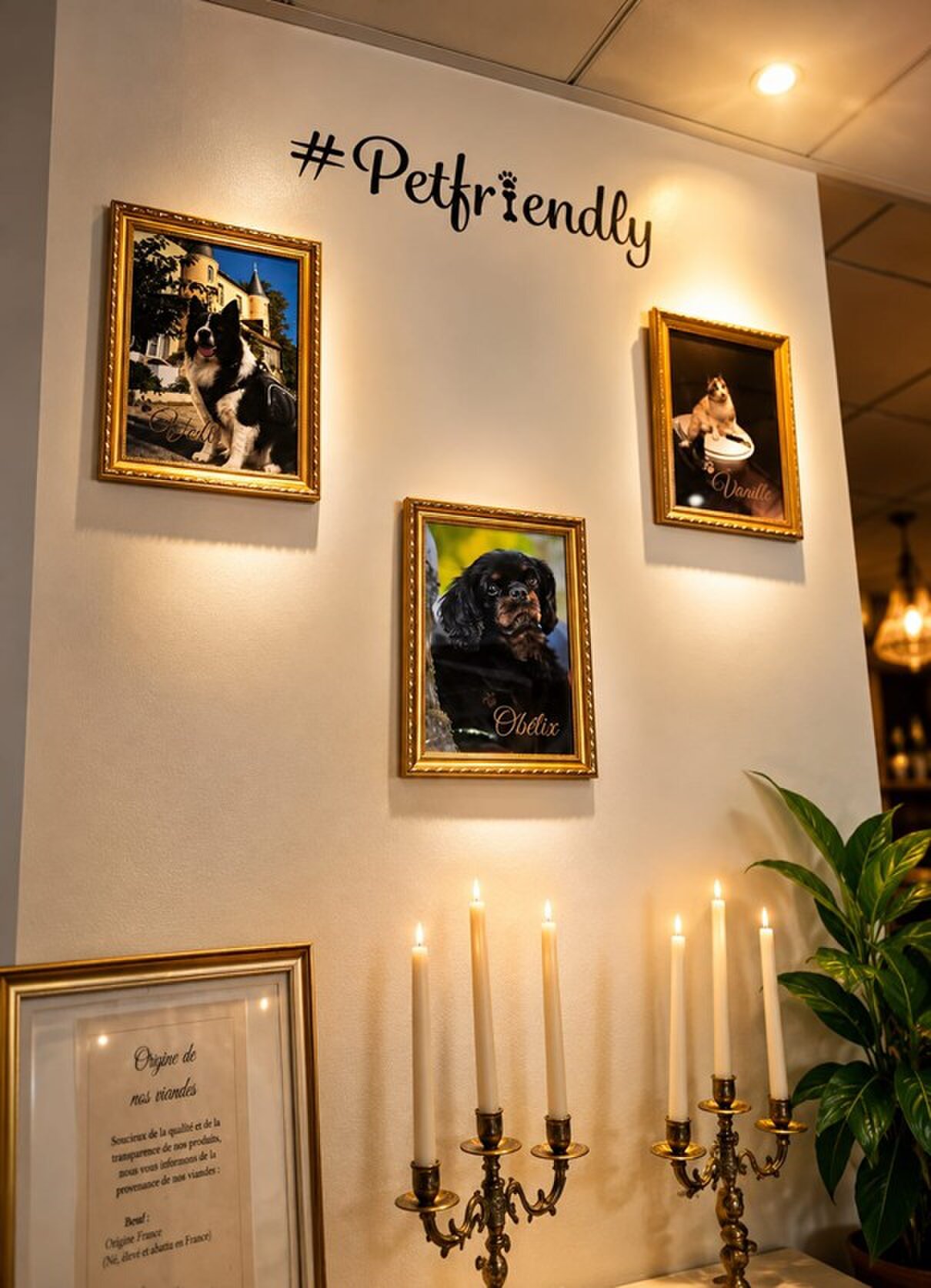 The #Petfriendly wall: framed portraits of the house dogs between candlesticks.