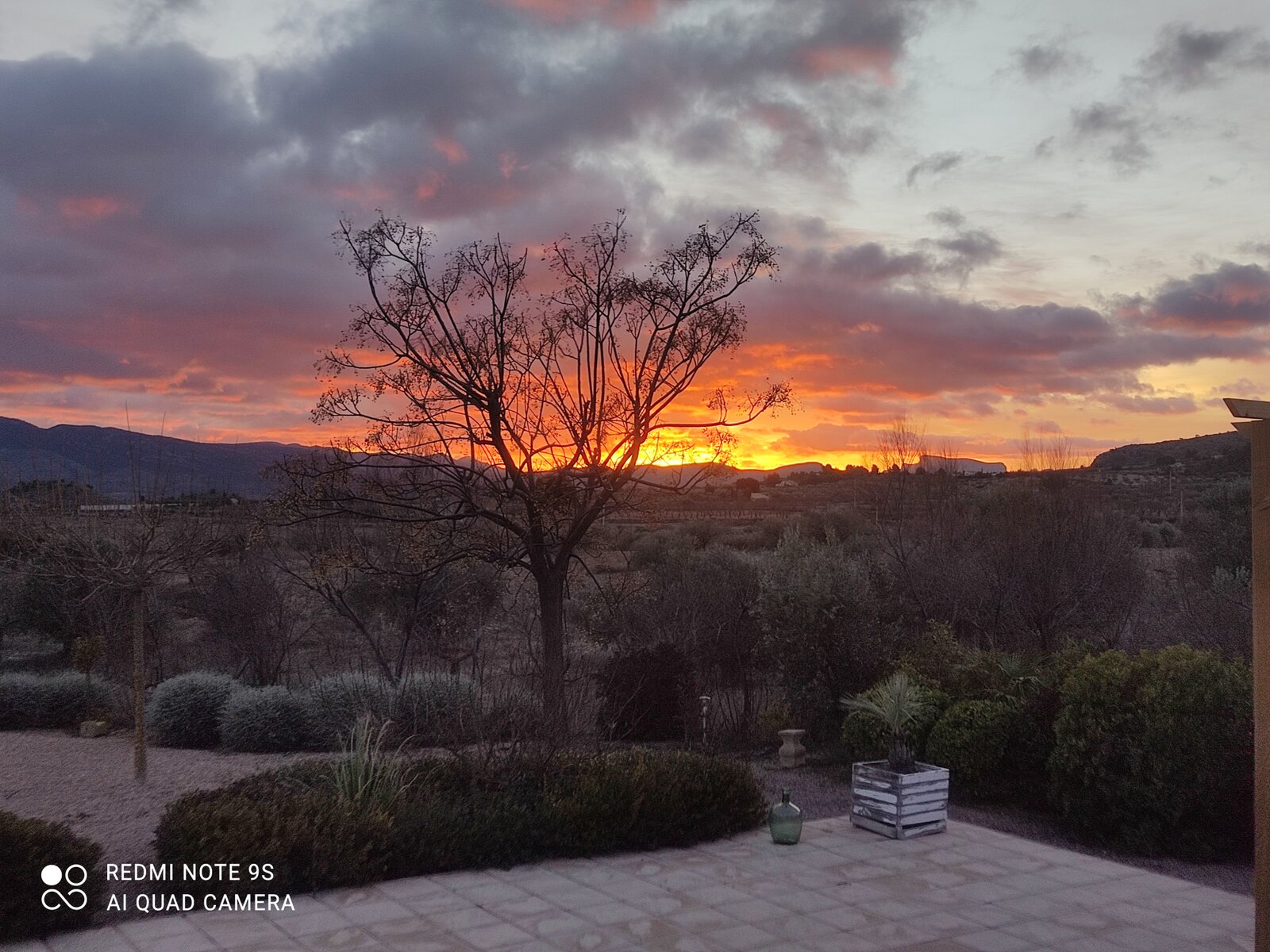 A sunset over the mountains seen from a paved terrace, with a bare tree and Mediterranean shrubs in the garden.