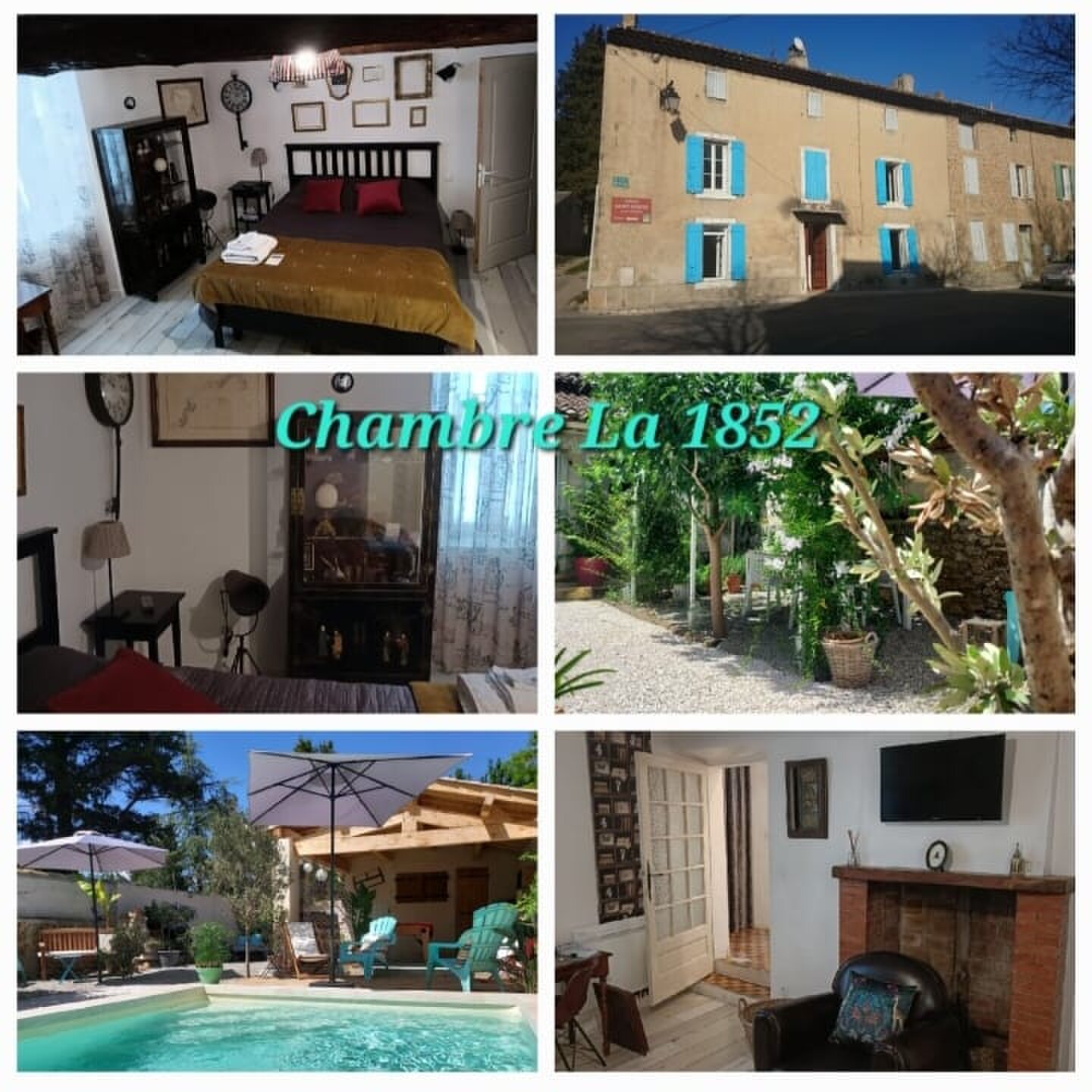 David Guesthouse