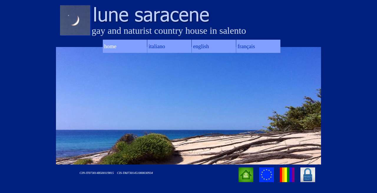 Lune Saracene