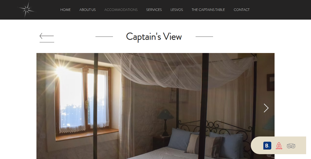 Captain's View