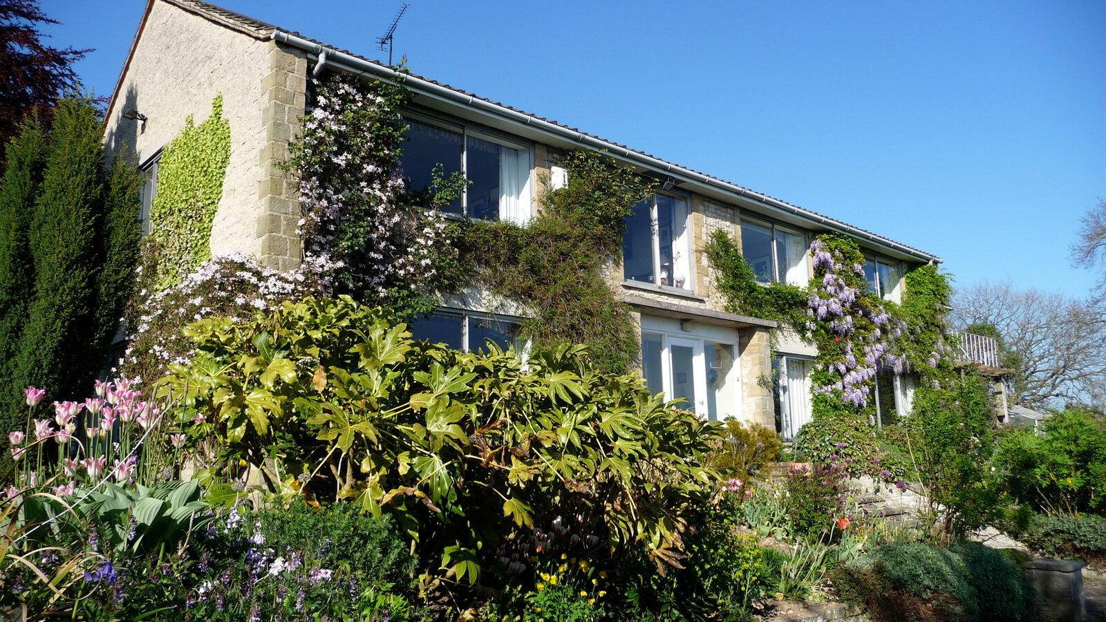 Shallowdale House
