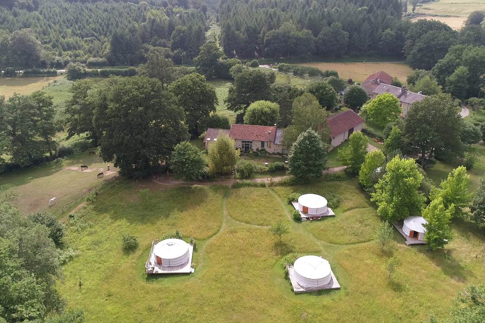 Les Ânes de Vassivière