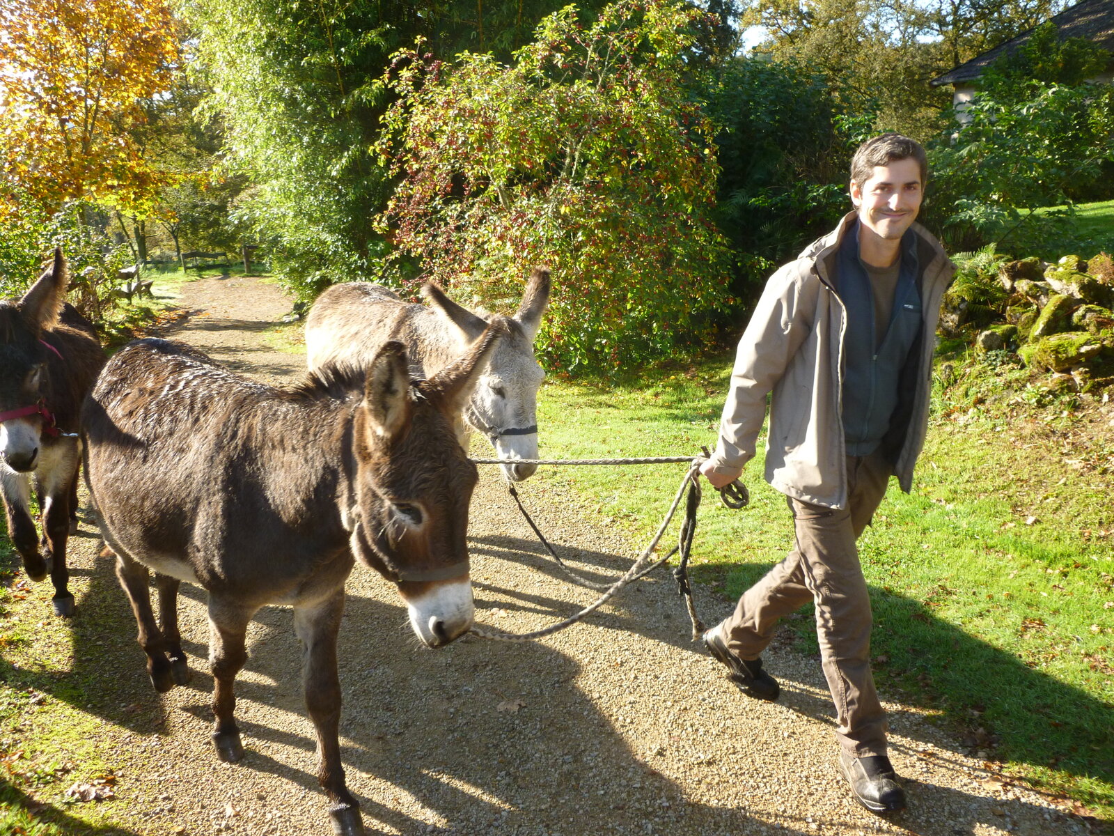 Les Ânes de Vassivière