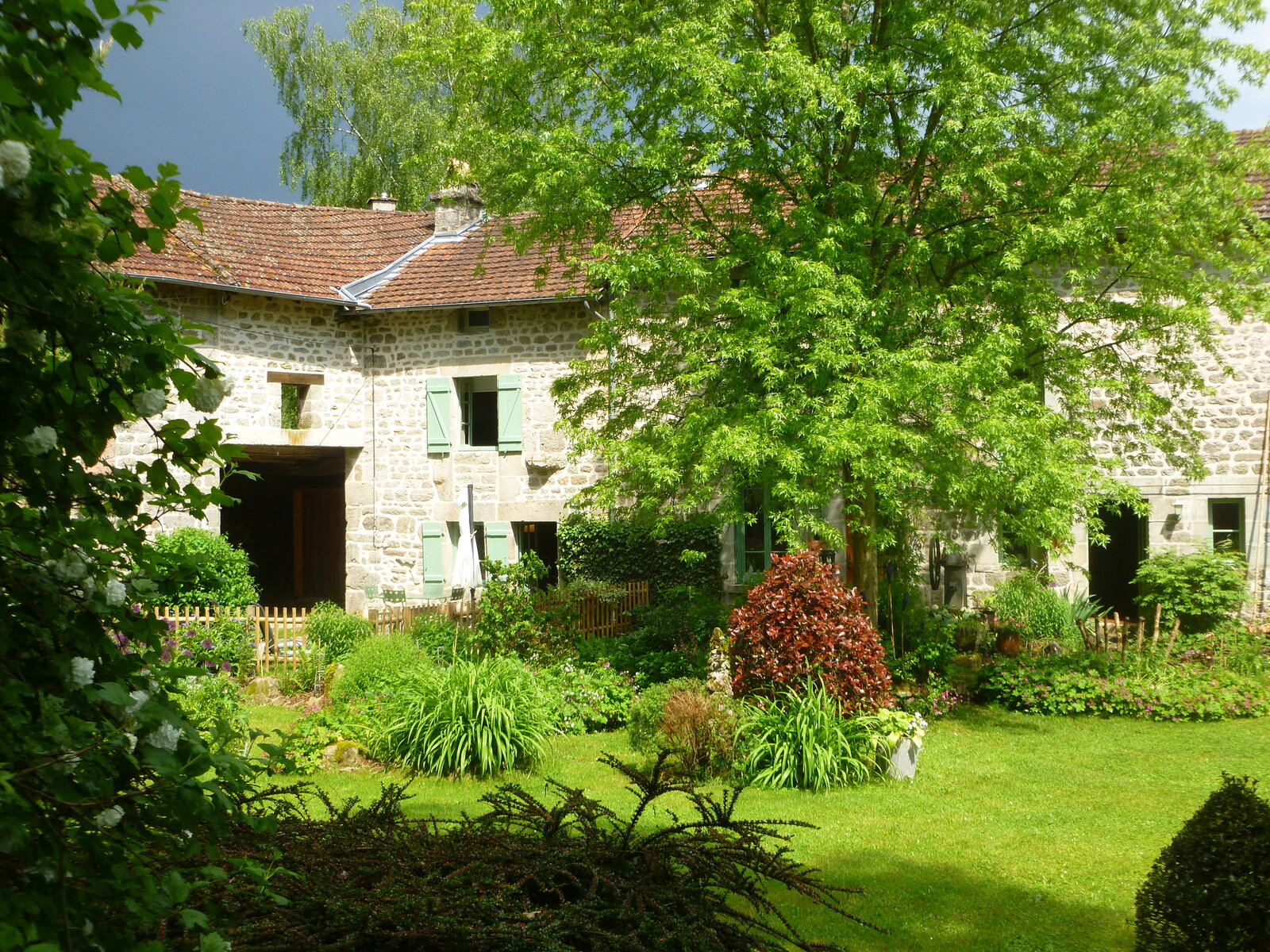 Les Ânes de Vassivière