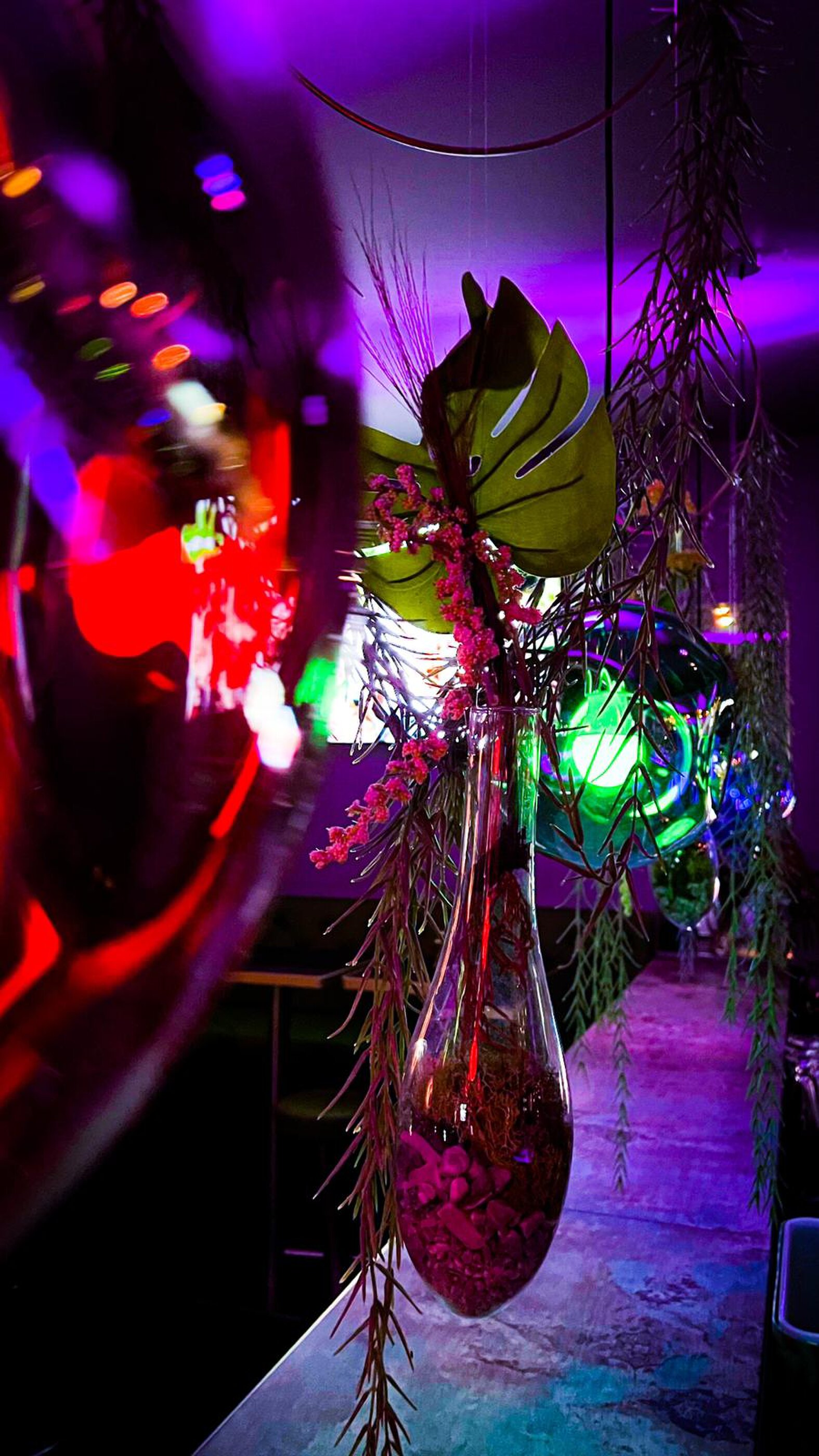 A hanging glass vase with dried grasses and a monstera leaf above the counter, the coloured lights of the bar behind it