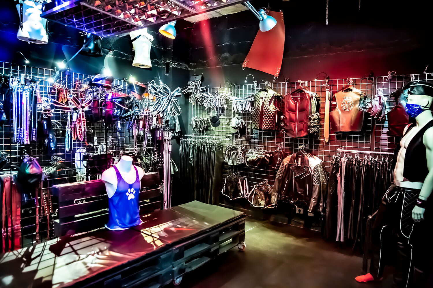 Boxer Gran Canaria