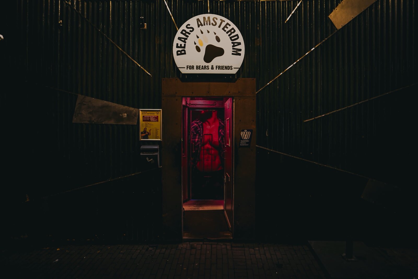 Bears Amsterdam