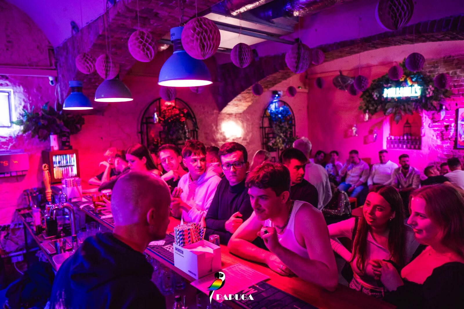 Club Papuga