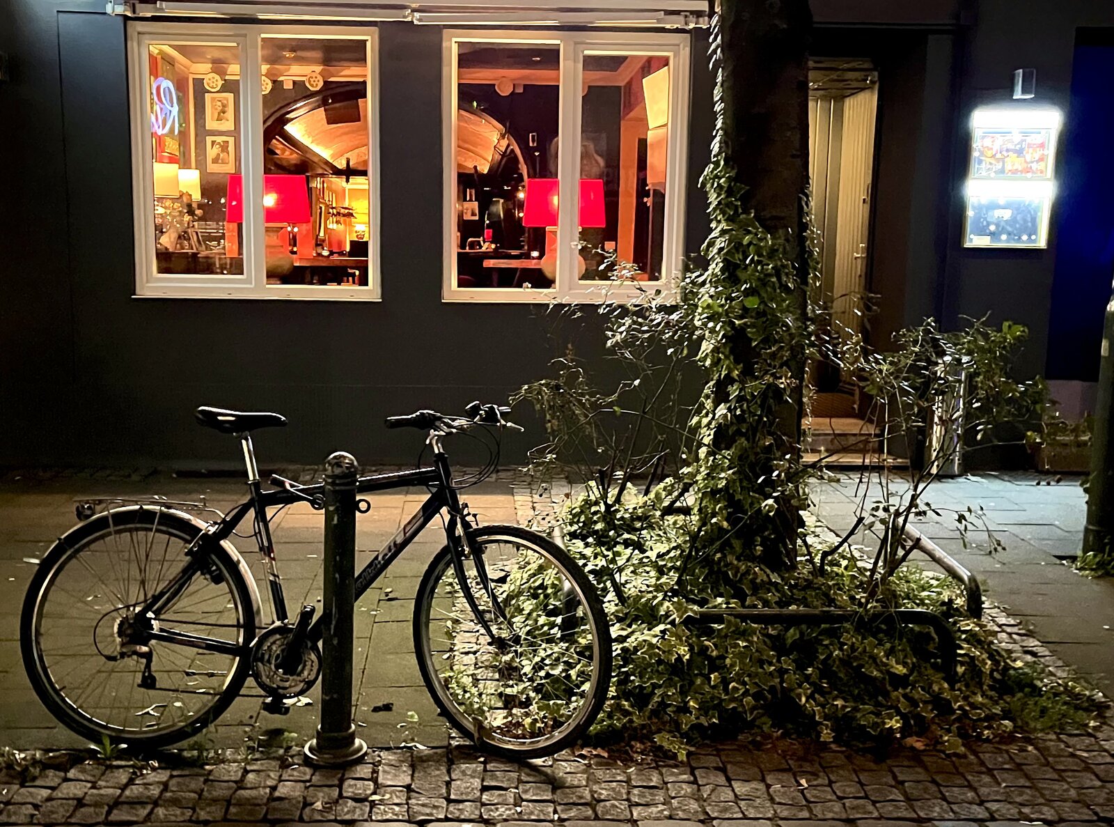 The dimly lit facade of Bar Studio 1 at night, with red lampshades glowing through the front windows and ivy climbing the tree outside.