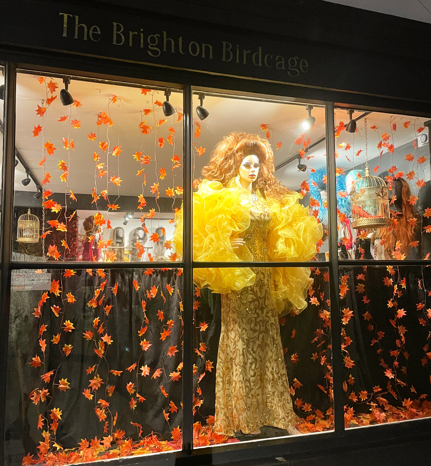 The Brighton Birdcage